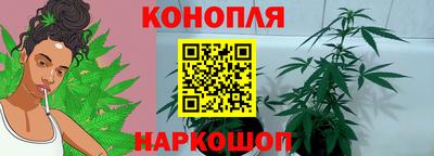 сатива Бугуруслан